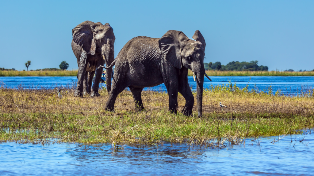 botswana