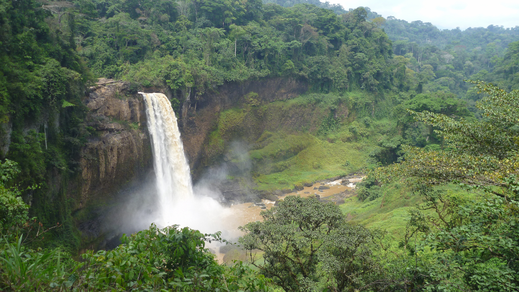 cameroun