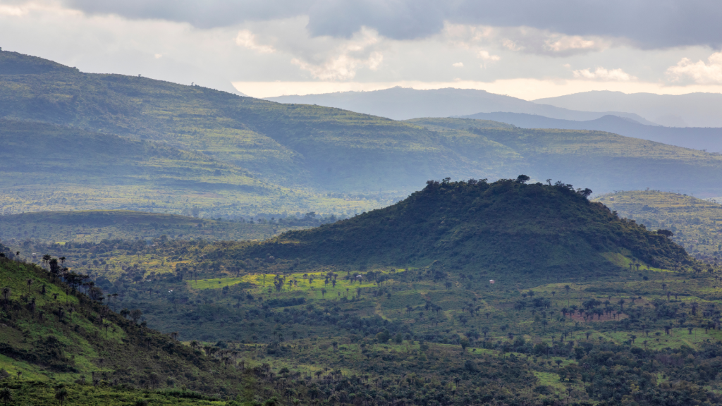 guinée
