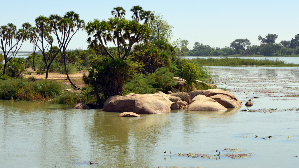 niger