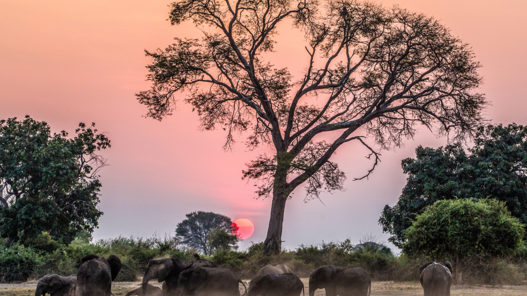 zimbabwe